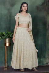 Soft Beige Chikankari Embroidered Lehenga Set