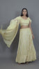 Soft Beige Chikankari Embroidered Lehenga Set